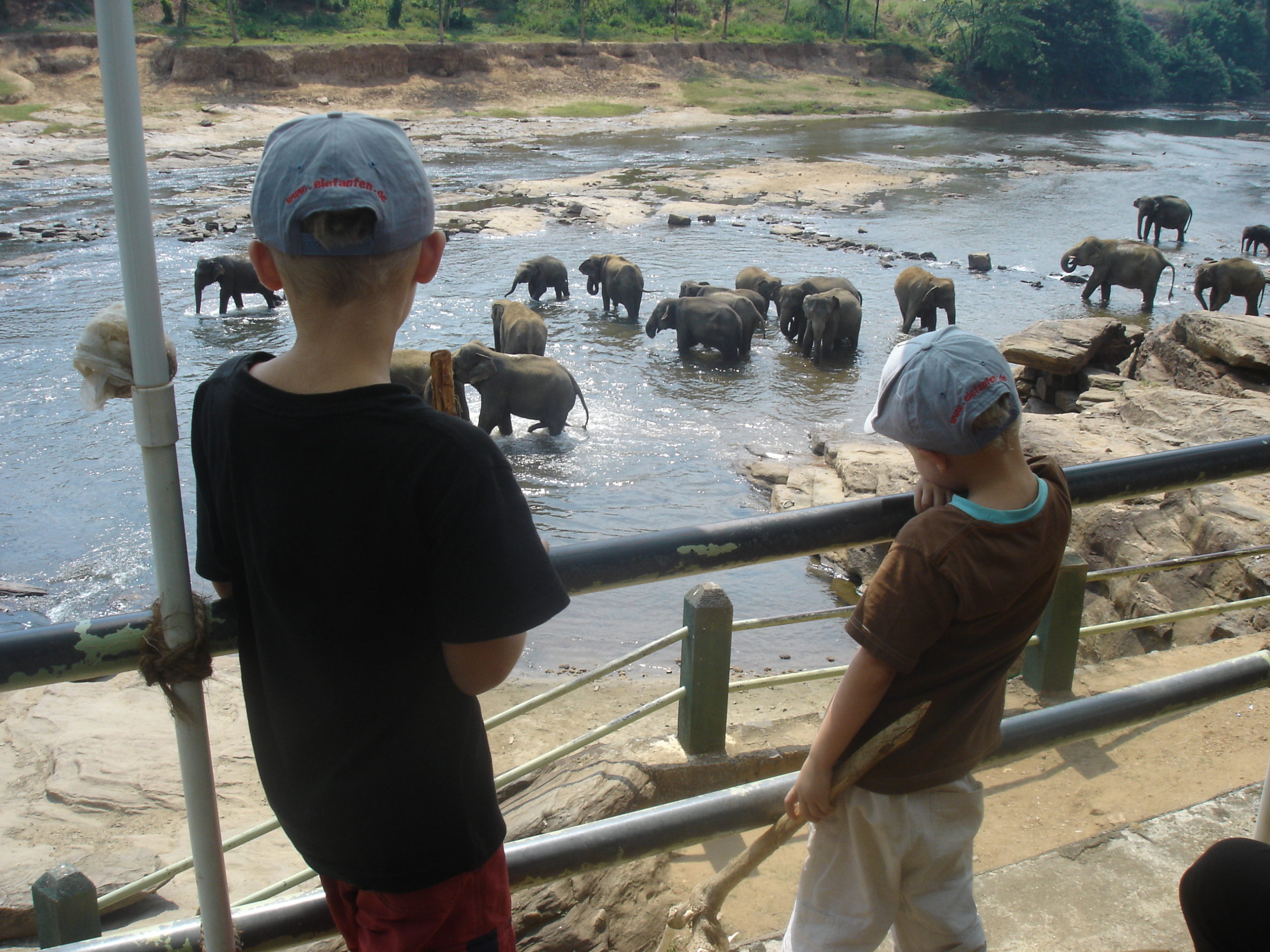 Expat, Expat Coaching